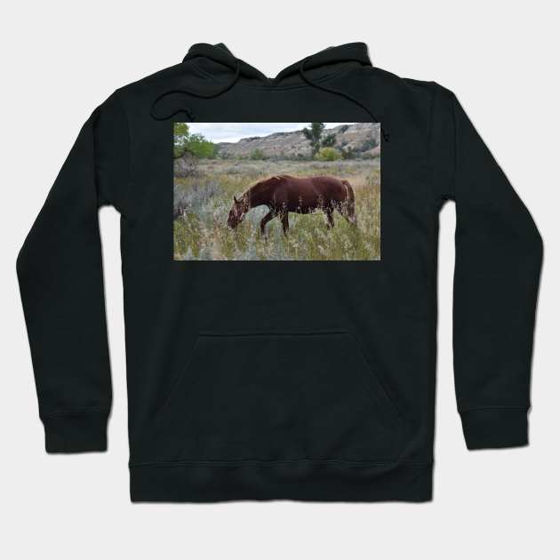 Brown Wild Horse Hoodie by MarieDarcy